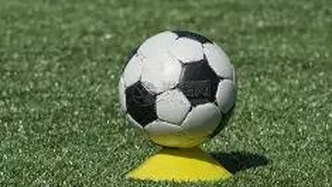 拜仁力寻凯恩替代者，聚焦美因茨24岁新星布尔卡德特